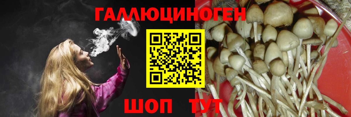 Муром  Псилоцибиновые грибы мицелий  Вход с VPN 